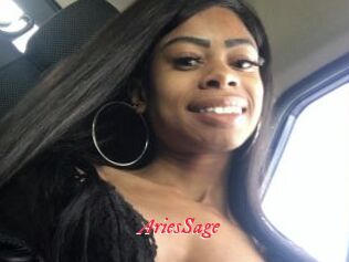 AriesSage