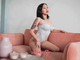 Asian_Fly