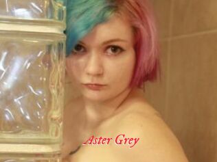 Aster_Grey