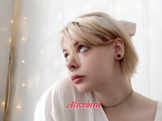 Alicebird