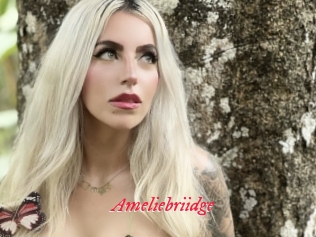 Ameliebriidge