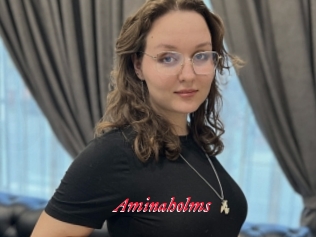 Aminaholms