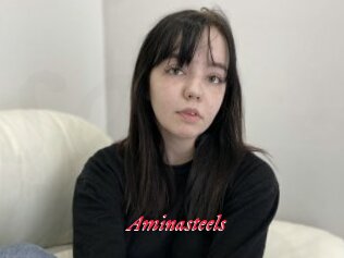 Aminasteels