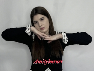 Amityburner