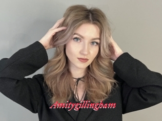 Amitygillingham