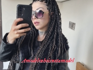 Amodelwhoisnotamodel