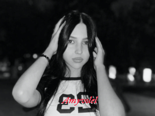 Amyvolel