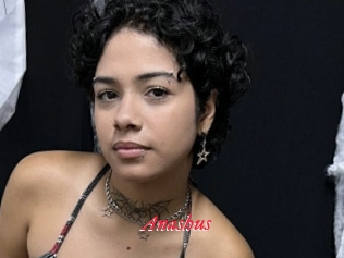 Anashus