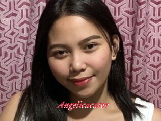 Angelicacator