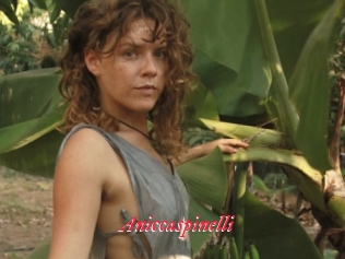 Aniccaspinelli