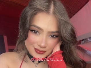 Antonelawildd