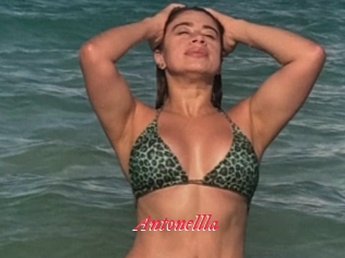 Antonellla