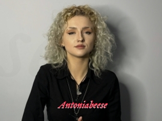 Antoniabeese