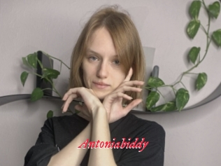 Antoniabiddy