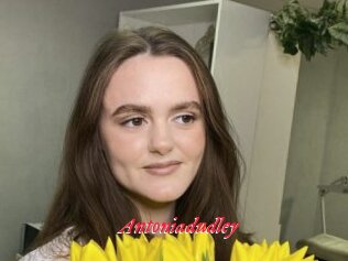 Antoniadudley