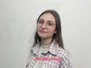 Antoniaheap