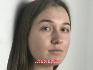 Arabracher