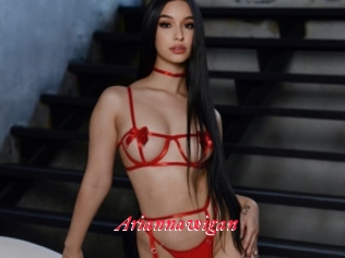 Ariannawigan