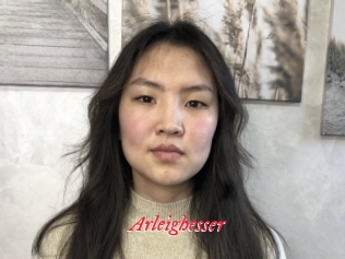 Arleighesser