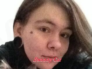 Buzzzy_Cat