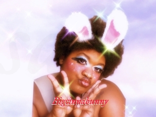 Bigcinnabunny