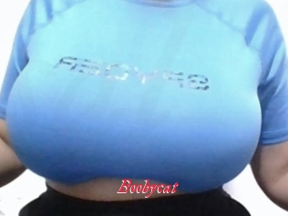 Boobycat
