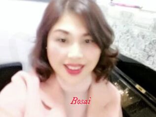 Bosai