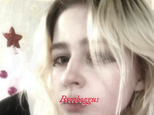 Breeboggus