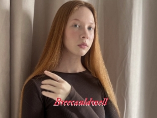 Breecauldwell