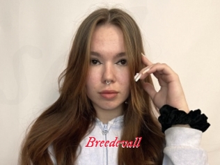 Breedevall