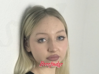 Breefudge