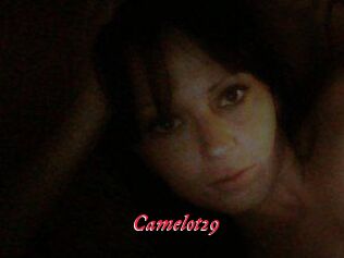 Camelot29