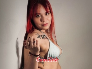 Camilittle