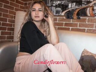 Candieflowers