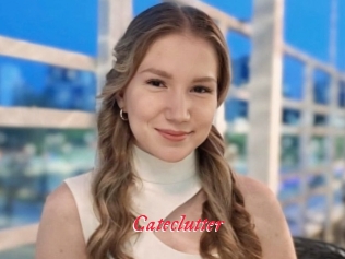 Cateclutter