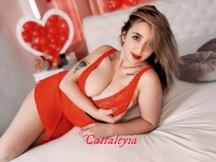 Cattaleyia
