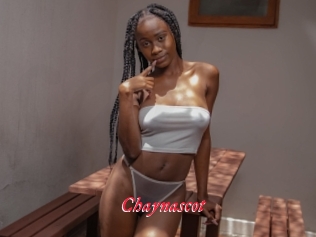 Chaynascot