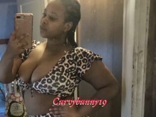 Curvybunny19
