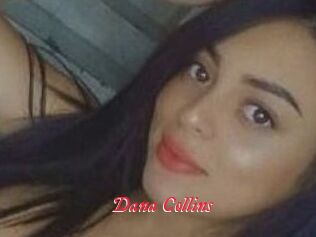 Dana_Collins