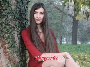 Didgeridoo