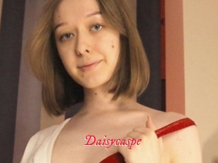 Daisycaspe