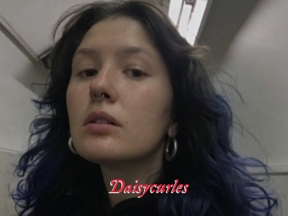 Daisycurles