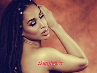 Didiflower