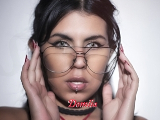 Domlia