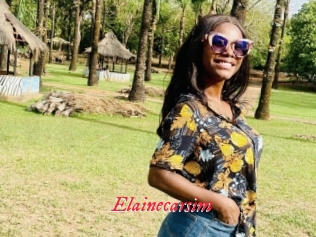 Elainecarsim