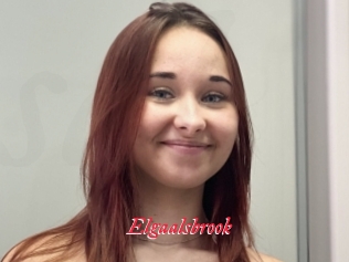 Elgaalsbrook