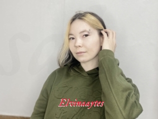 Elvinaaytes
