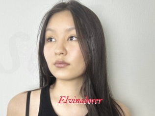 Elvinaborer
