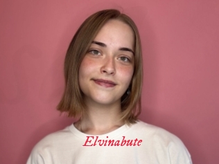 Elvinabute