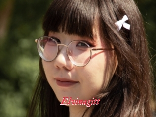 Elvinagitt
